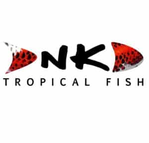 nk tropical fish